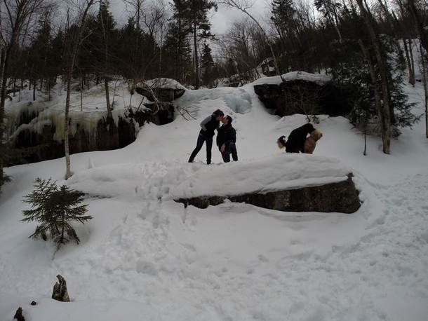 A friend of mine and her boyfriend took the dogs for a walk in the woods the other day when he decided to Pop the question They wanted to capture the special moment little did they know they would capture two special moments