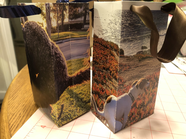 A friend of mine gave me a calendar with pictures of pooping pooches so Im giving her a couple of gifts bags that I made from it