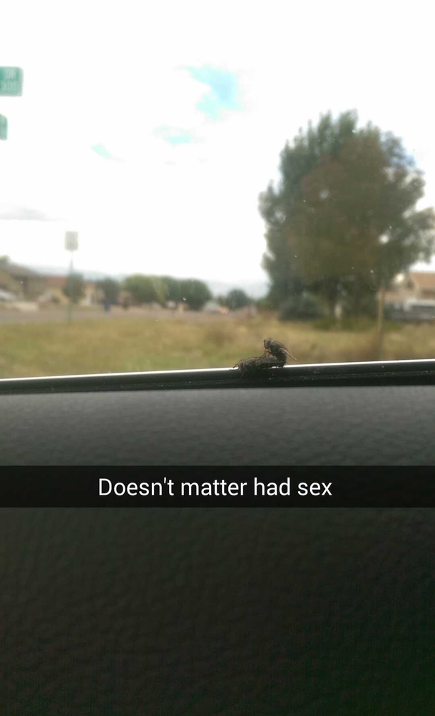 A friend sent me this on his commute today