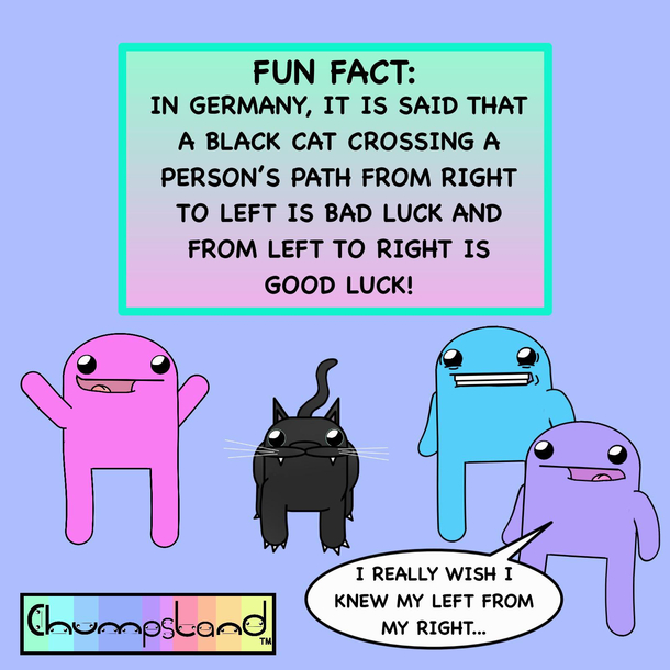 A Fun Fact About Black Cats 