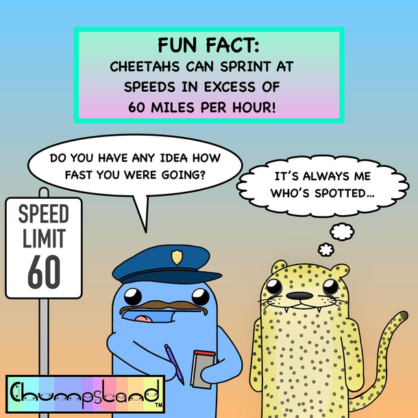 A Fun Fact About Cheetahs 