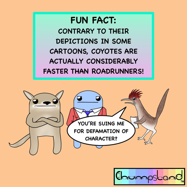 A Fun Fact About Coyotes 