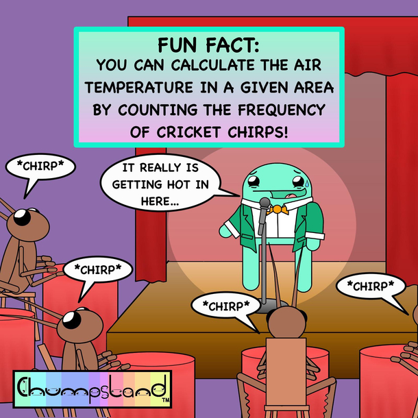 A Fun Fact About Crickets 