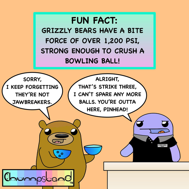 A Fun Fact About Grizzly Bears 