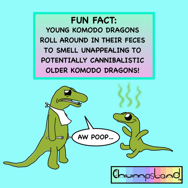 A Fun Fact About Komodo Dragons 