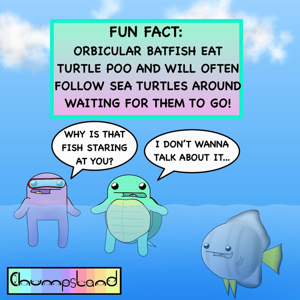 A Fun Fact about Orbicular Batfish