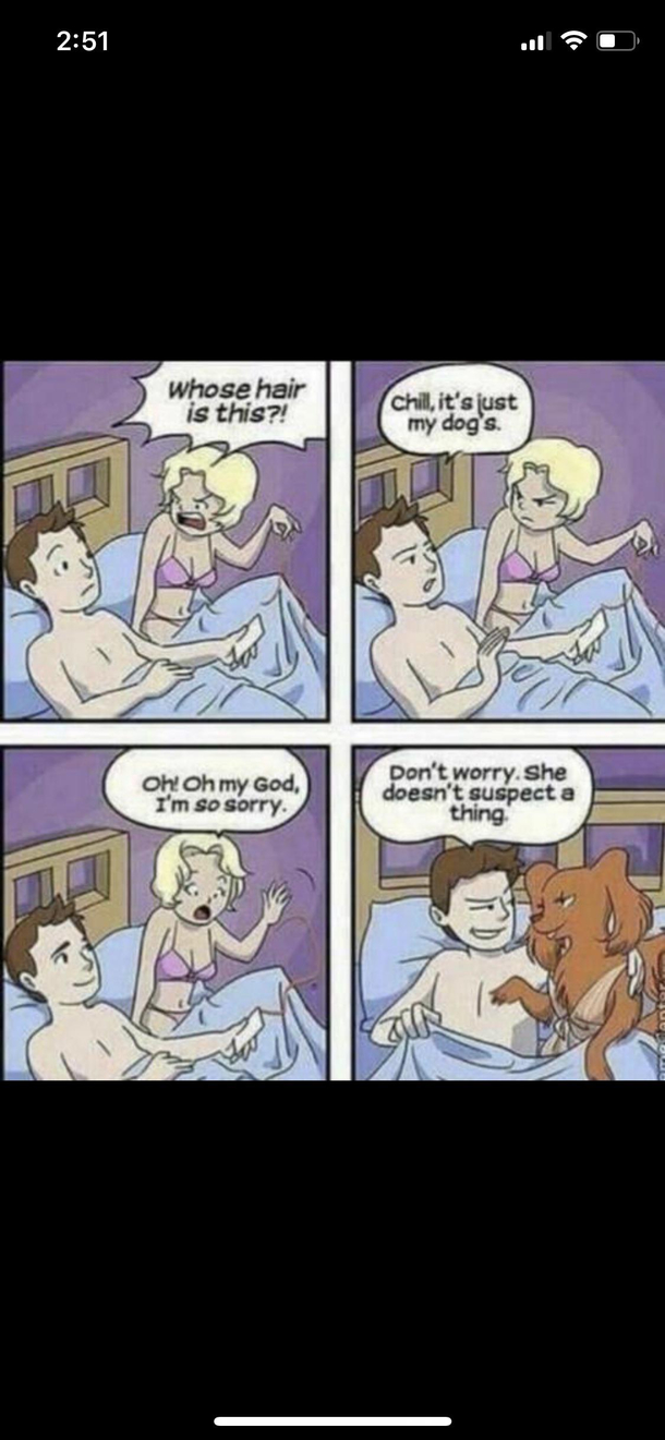 A Furry close call