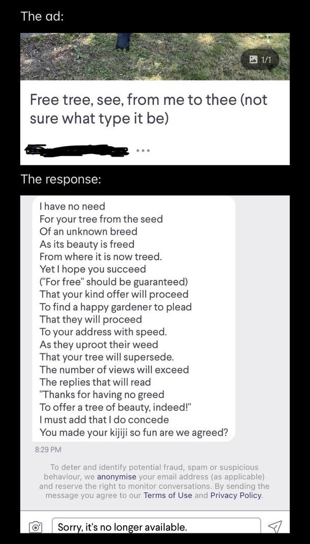 A gave away a tree on Kijiji today