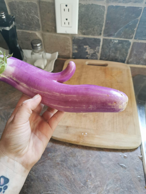 A gift from mother nature