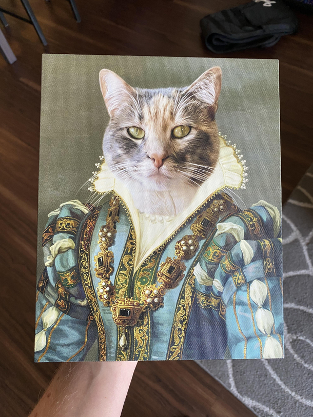 A gift from my drunk self