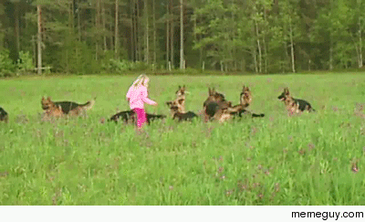 A girl and her  German Shepherds