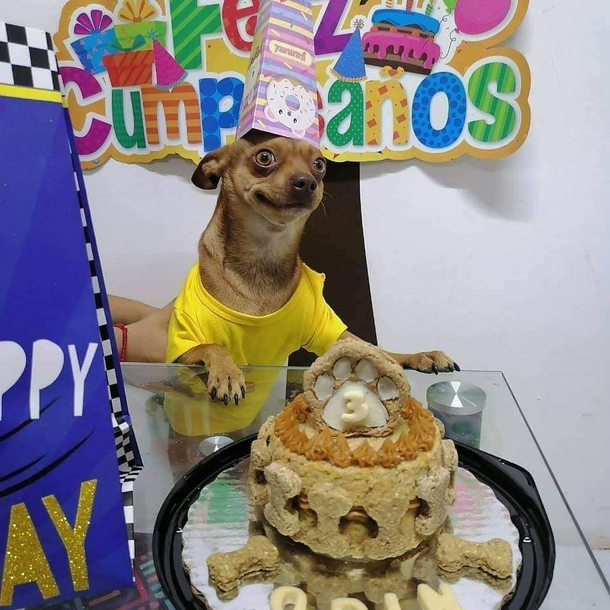 A good birthday party for a good boy part 