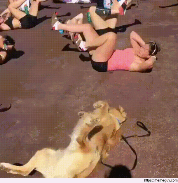A good boy getting that beach body