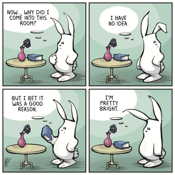 A Good Reason