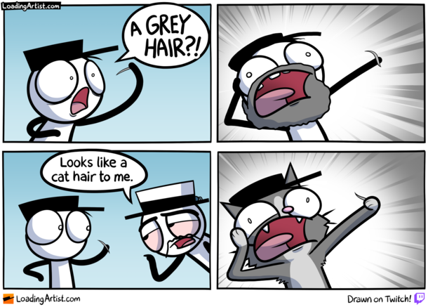 a GREY HAIR