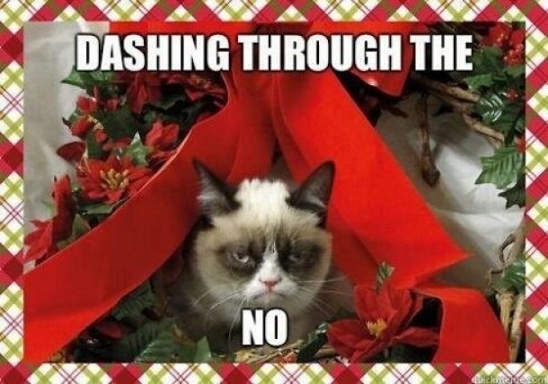 a grumpy catmas