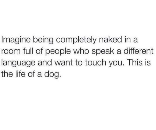 A hard life