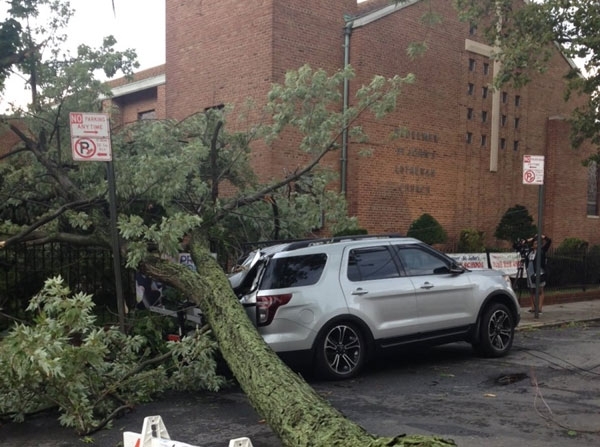 A huge tree fell on this car that was parked illegally in front of a church