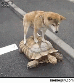 A king surveys his domain on his trusty steed