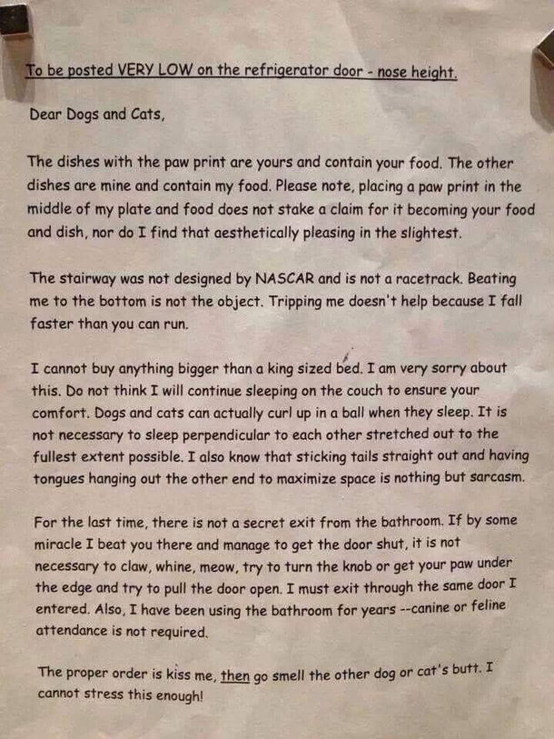 A letter from management