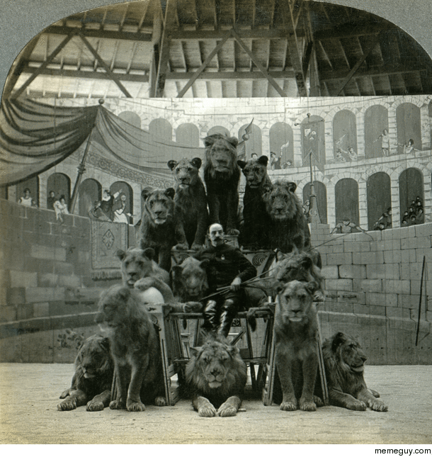 A lion tamer posing with his lions c  Animated stereoview