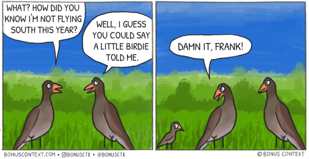 A Little Birdie
