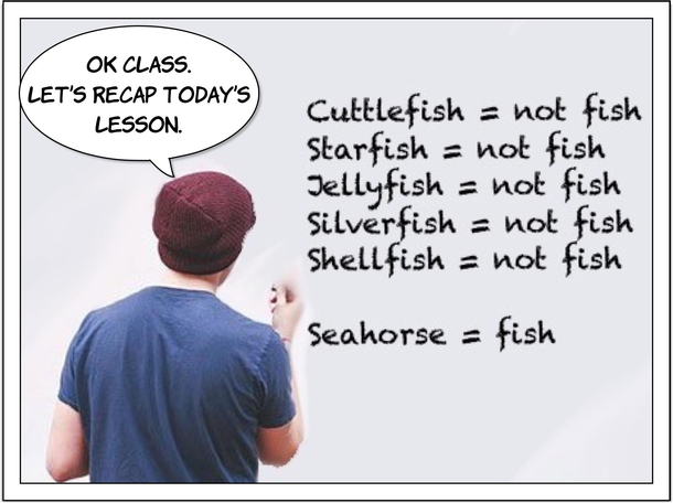 A little fishy