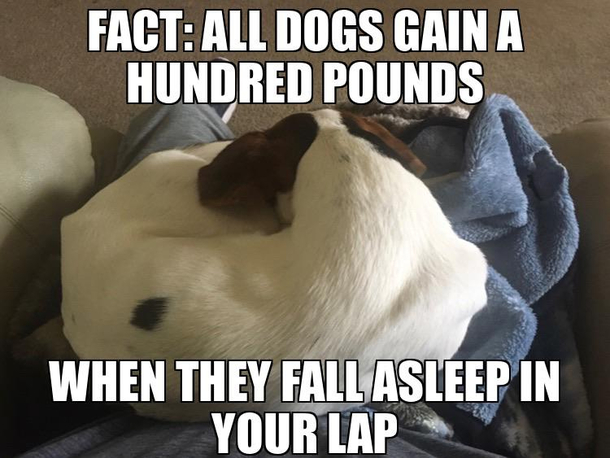 A little known fact