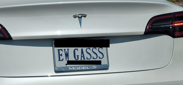 A local Tesla owner