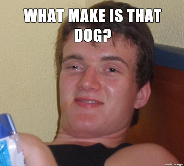 A lot of dogs come into our cafe coworker asked