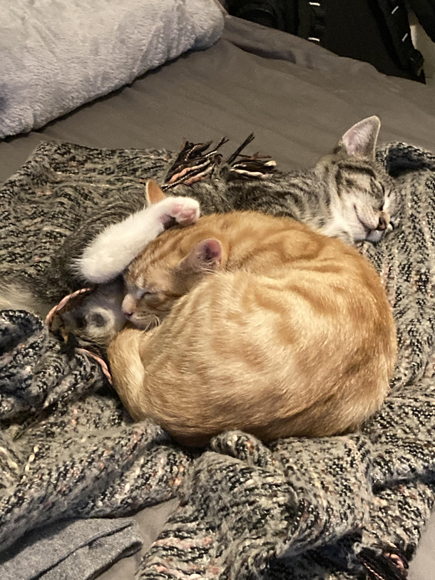 A lovely place to sleep
