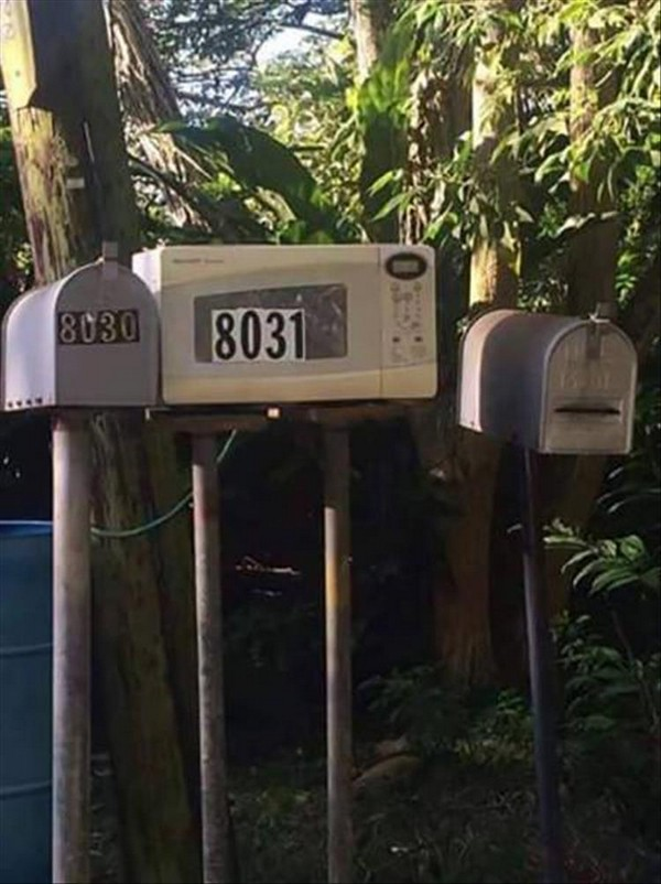 A Mailcrowave