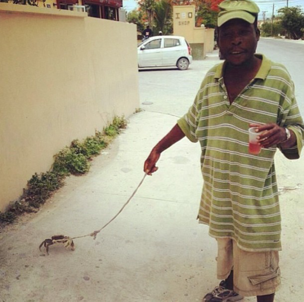 a man walking his crab