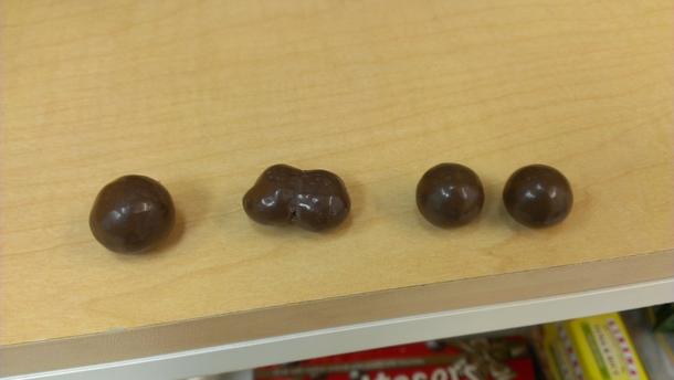 A moment of Malteser Mitosis