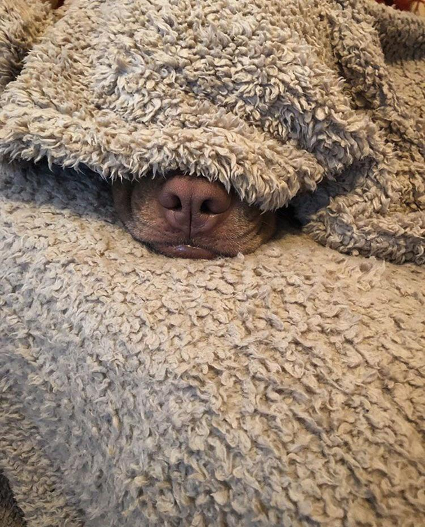 A  mood