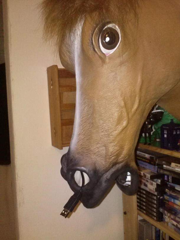 A mouse crawled up this horses nose