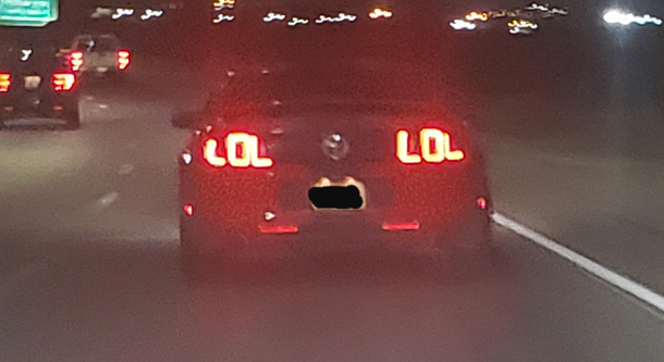 A mustang owner with a beautiful sense of humor