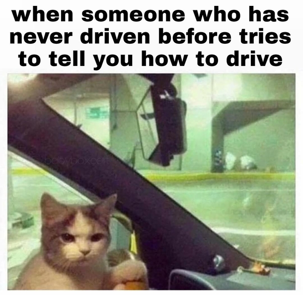 A N G R Y