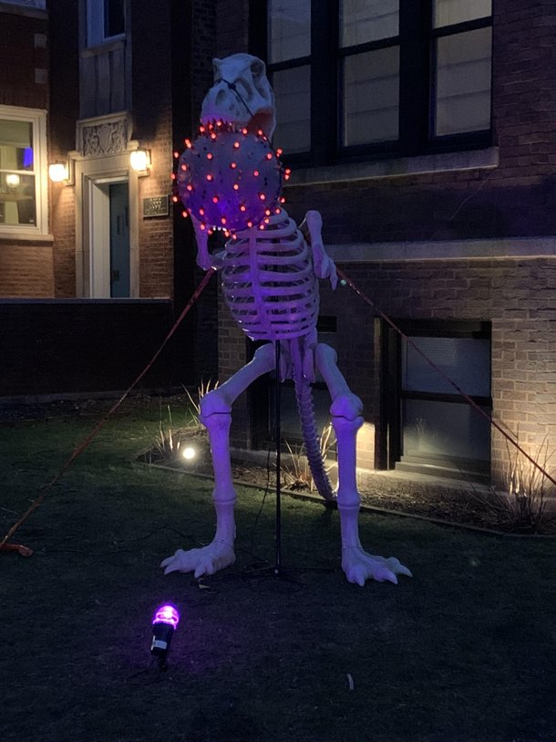 A neighbor decided to bust out the COVID- decorations