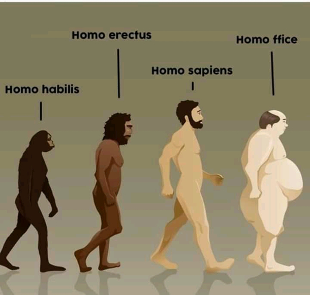 A new homeoffice species