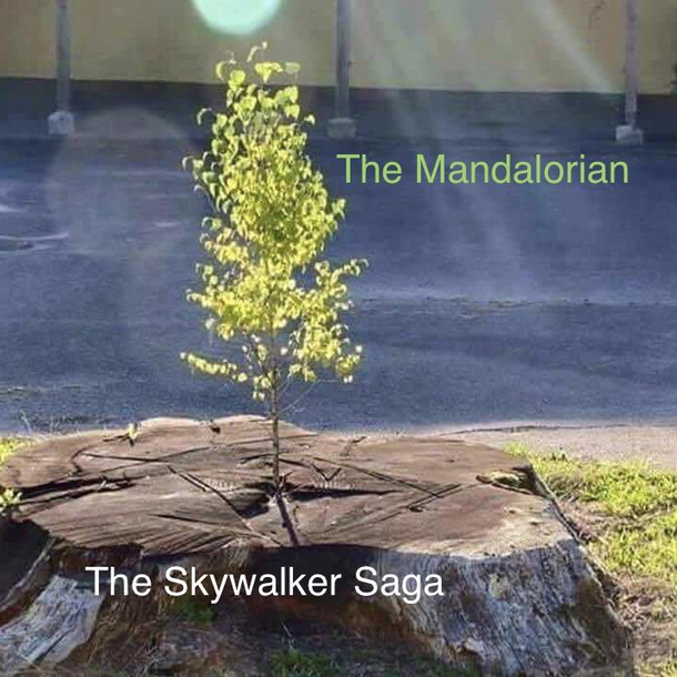 A New Hope