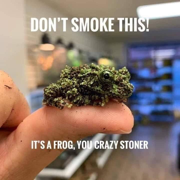 A new strain