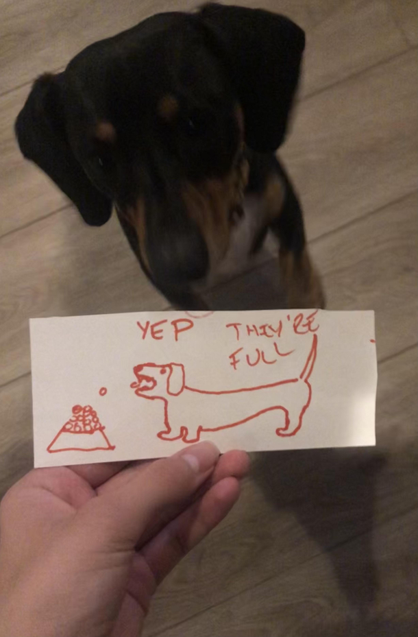 A note left on the counter this morning telling us not to feed the dogs