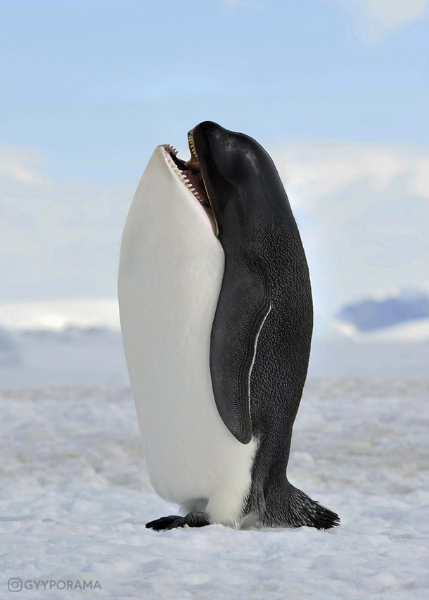 A Pengwhale