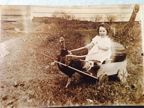 A  Pennsylvania Family Thanksgiving