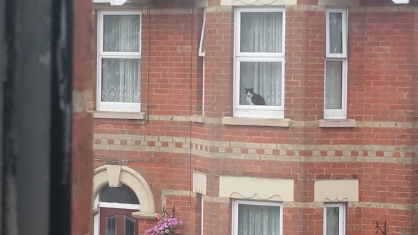 A photo of my parents house taken by their neighbour while my parents were out for the day My parents dont own a cat