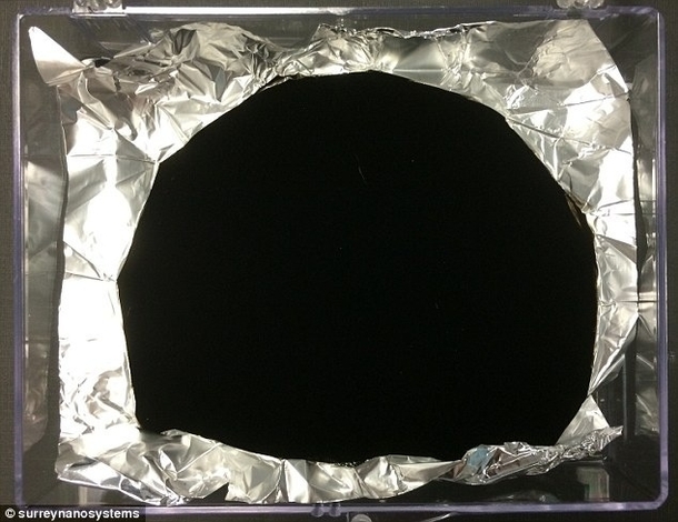A picture of my Exs heart
