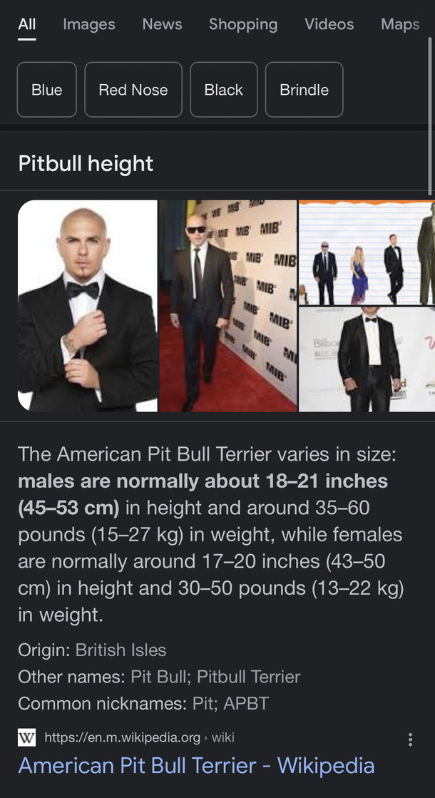A Pitbull is a weird looking dog