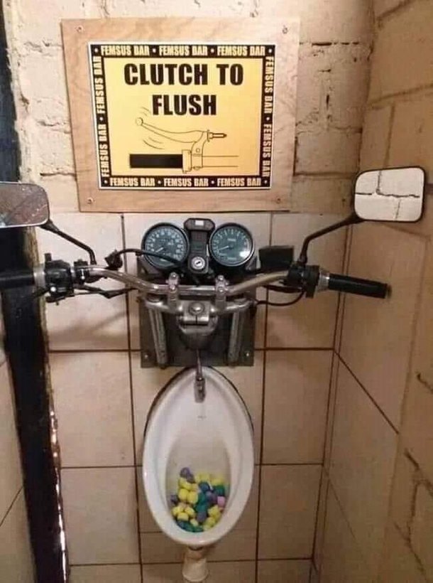 A place for the old hog