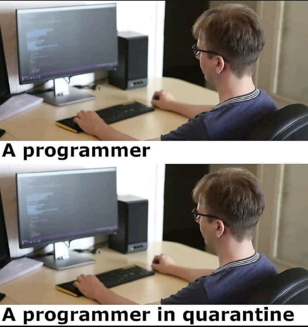 A Programmmers lifecycle during quarantine and before it